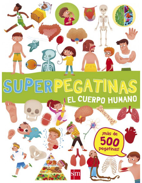 Superpegatinas el cuerpo humano