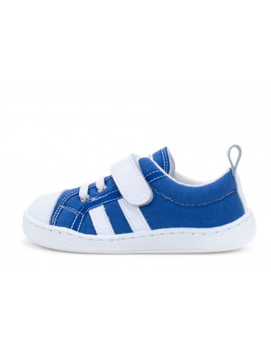 Zapy Zapatilla Cerceta azulón