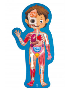 Puzle cuerpo humano