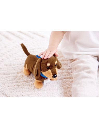 Juego de clínica veterinaria