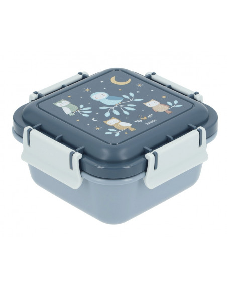 Caja almuerzo grande magical forest