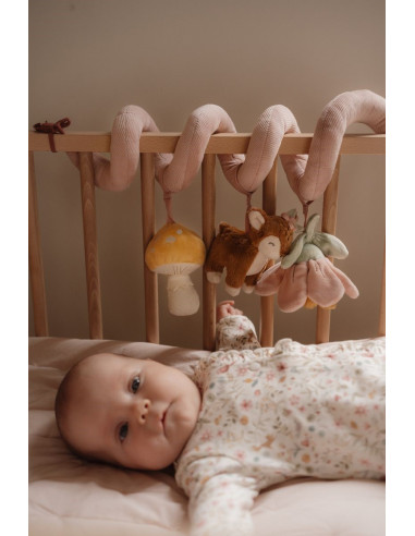 Espiral actividades Fairy garden