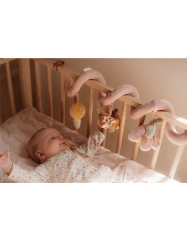 Espiral actividades Fairy garden