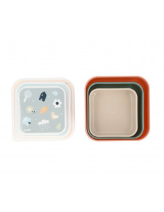 3 Cajas almuerzo Geometric nature 2