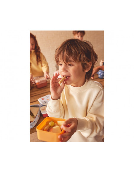 3 Cajas almuerzo Magical forest