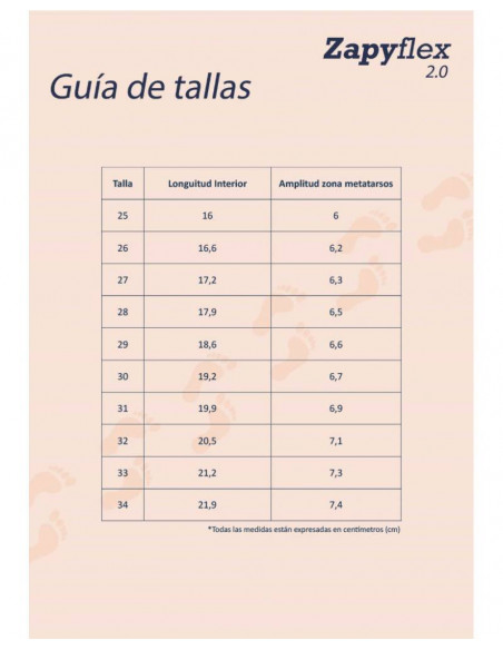 Zapy Javalambre Hielo Teronja